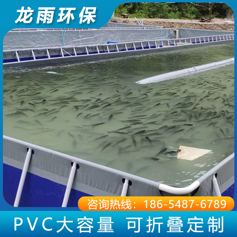 海鮮魚池養殖